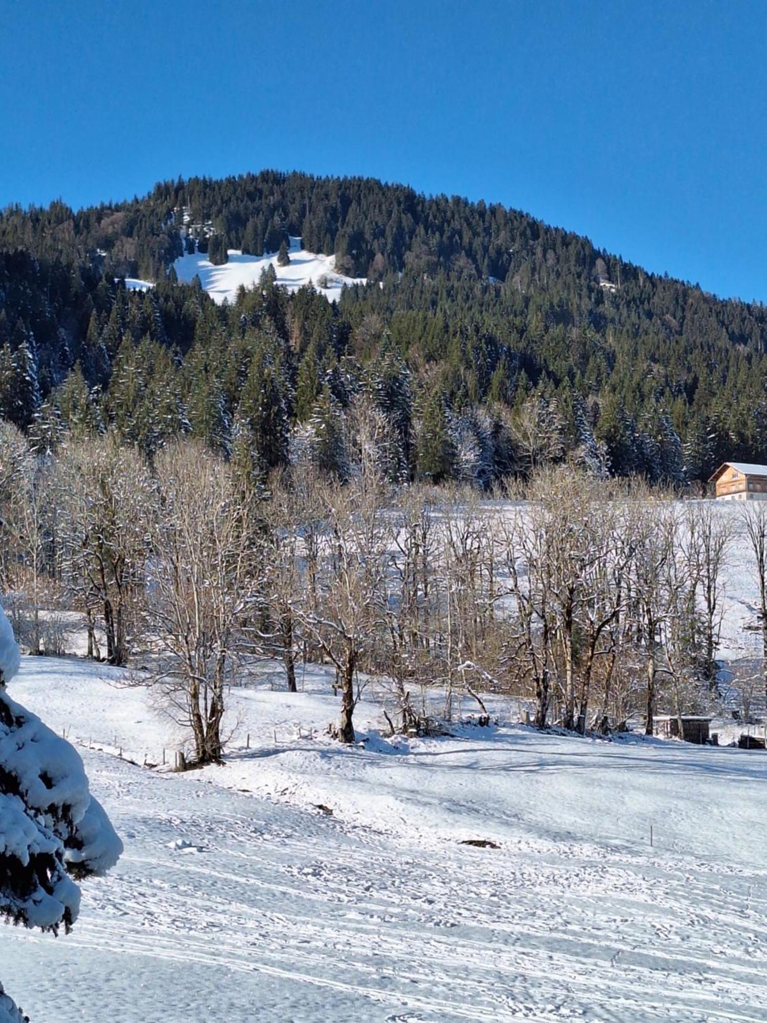 Bergliebe Appartement Kierwang Buitenkant foto
